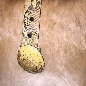 PYTHON SKIN BELT YELLOW/BLACK

Fresco Golf's signature python snake skin